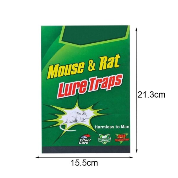 Efficient mouse glue trap for home use