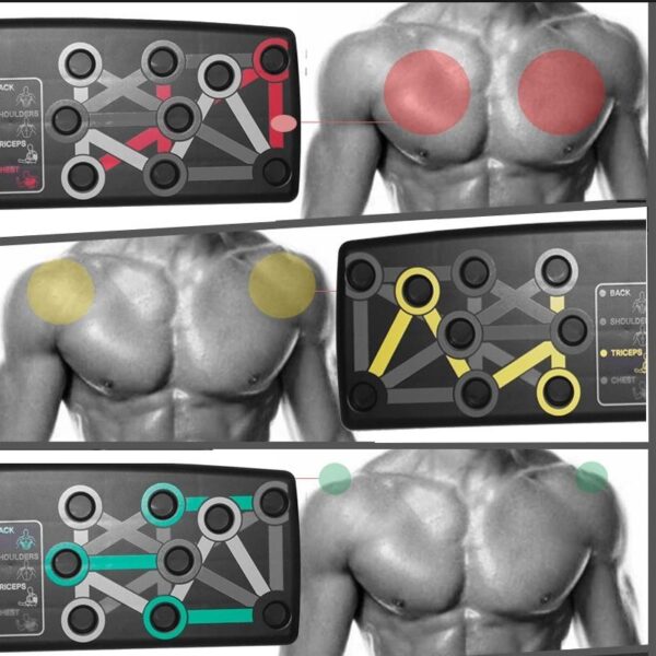 Push up board for building back and abdominal muscles